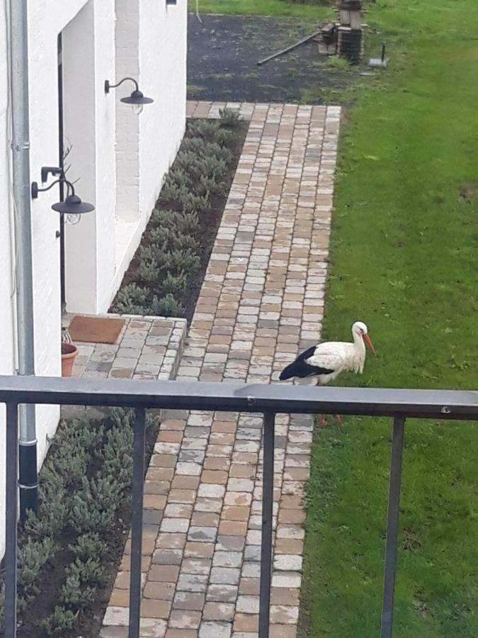 Ferienwohnung Storchennest Bad Rothenfelde Eksteriør bilde
